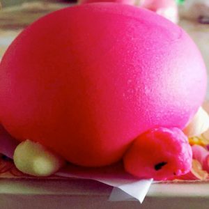 Tortoise Bun (12 Pairs)