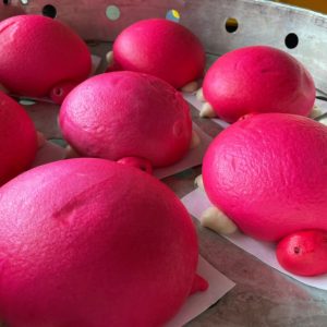 Tortoise Bun (4 Pairs)